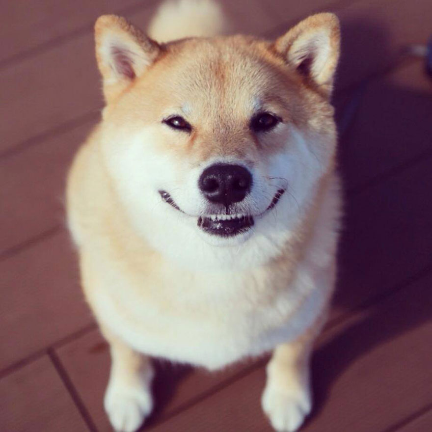 boredpanda-2