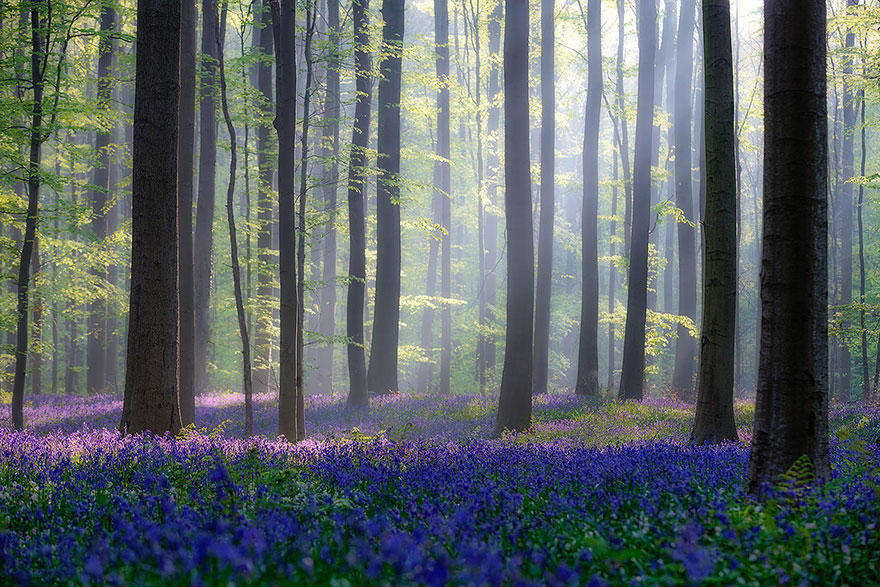boredpanda-9