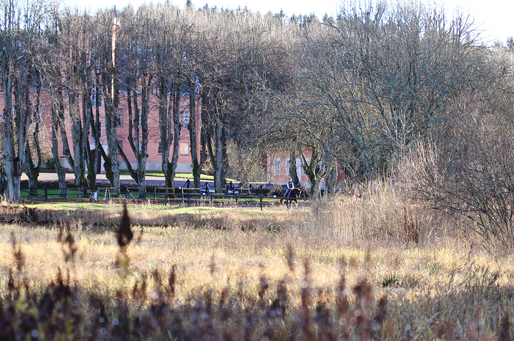 battis-gasevadsholm-27