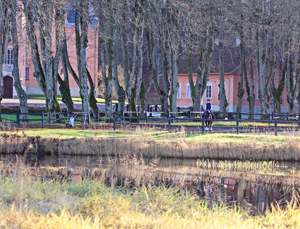 battis-gasevadsholm-29