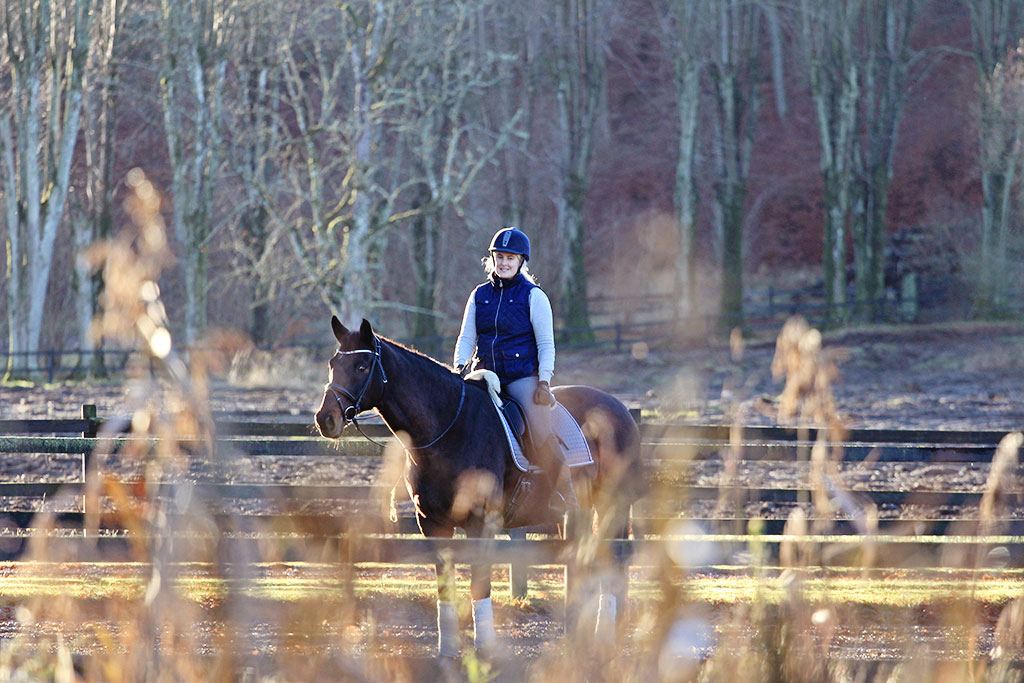battis-gasevadsholm-31