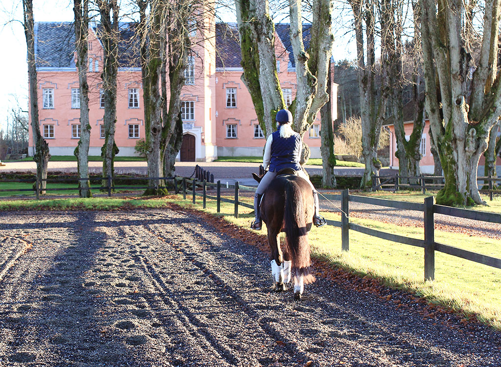 battis-gasevadsholm-34