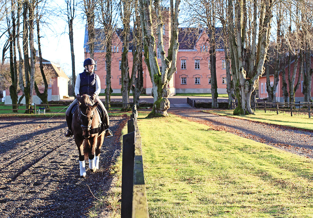 battis-gasevadsholm-35