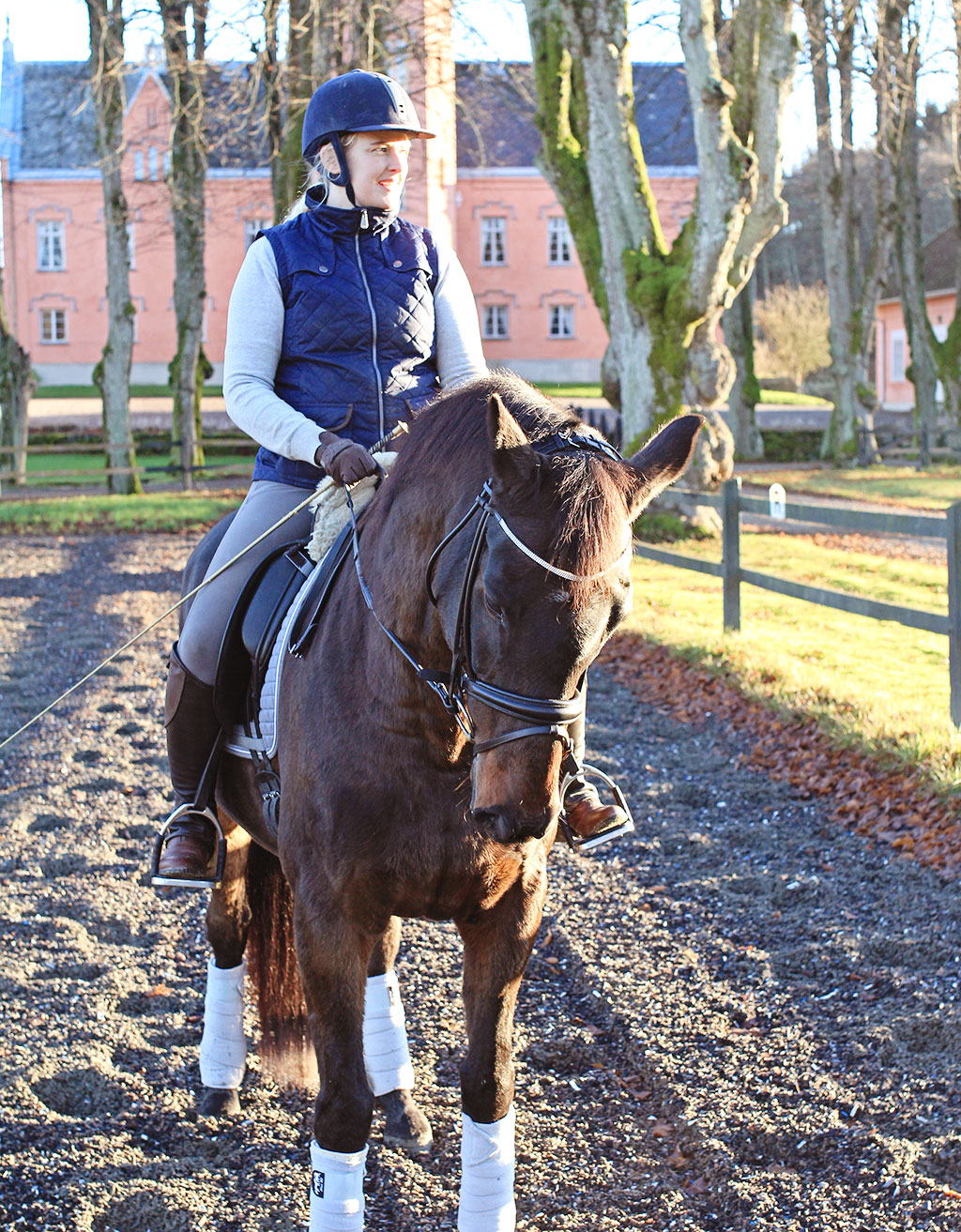battis-gasevadsholm-36