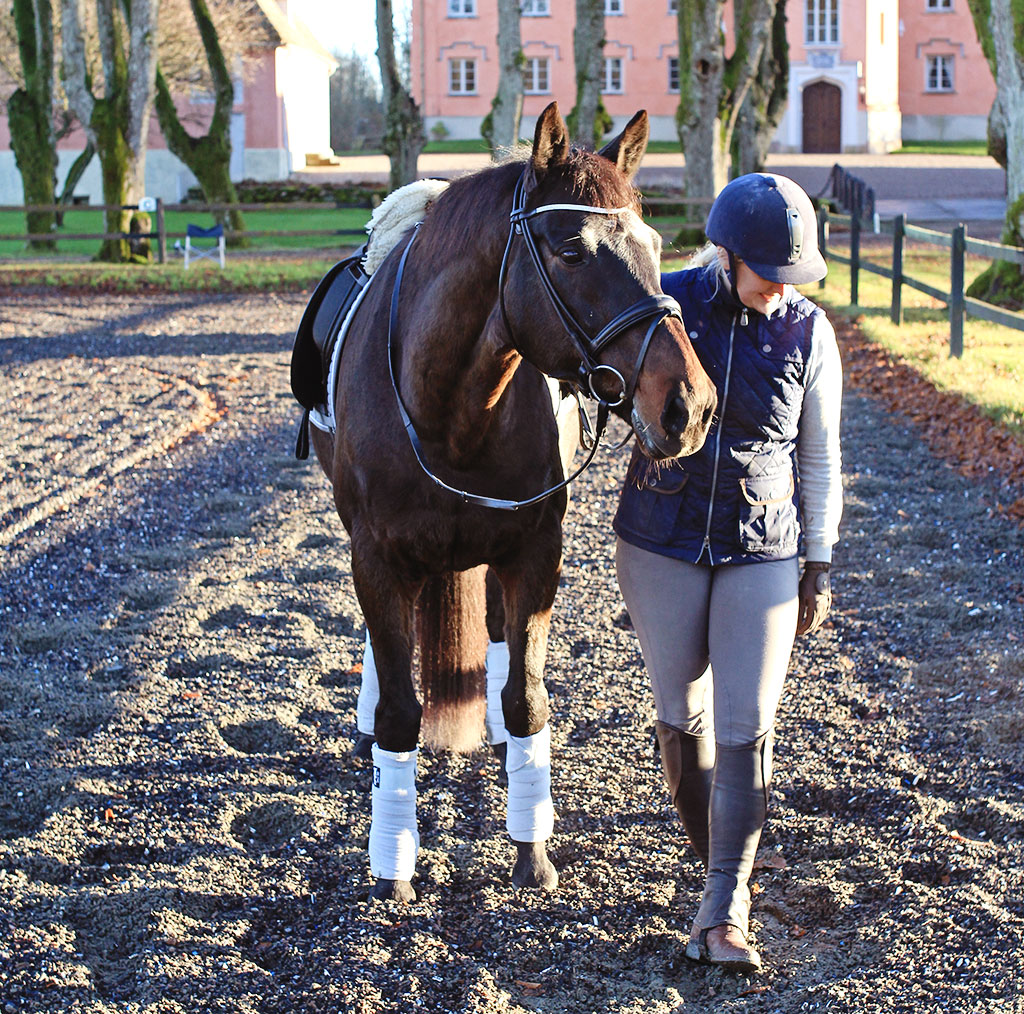 battis-gasevadsholm-40
