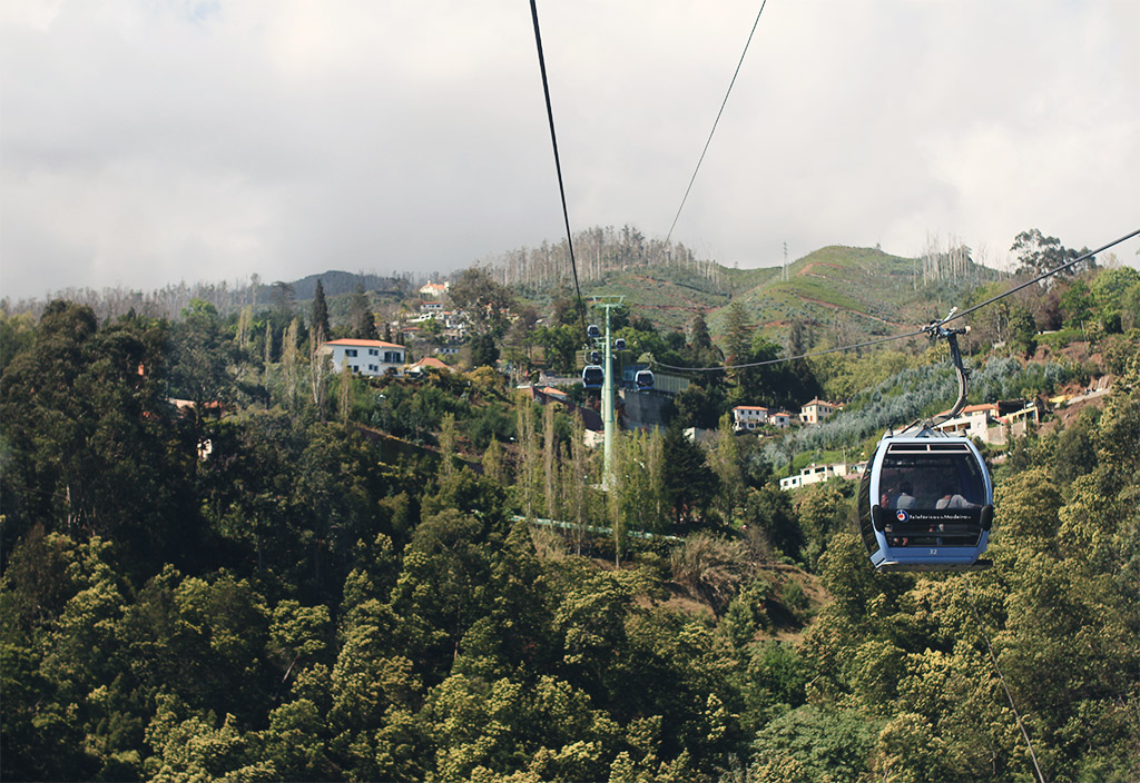 madeira-4-10