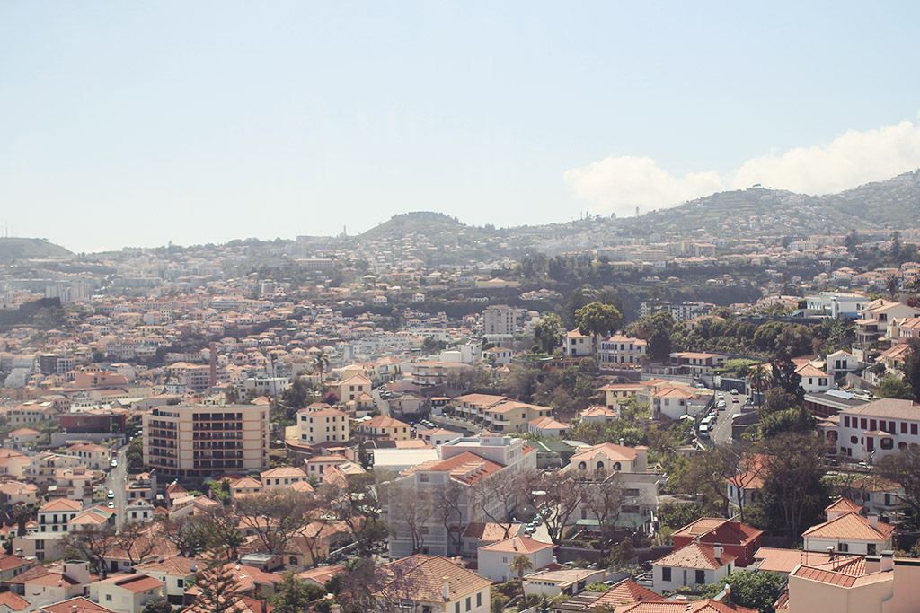 madeira-4-11