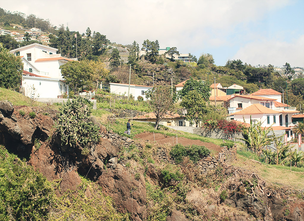 madeira-4-13
