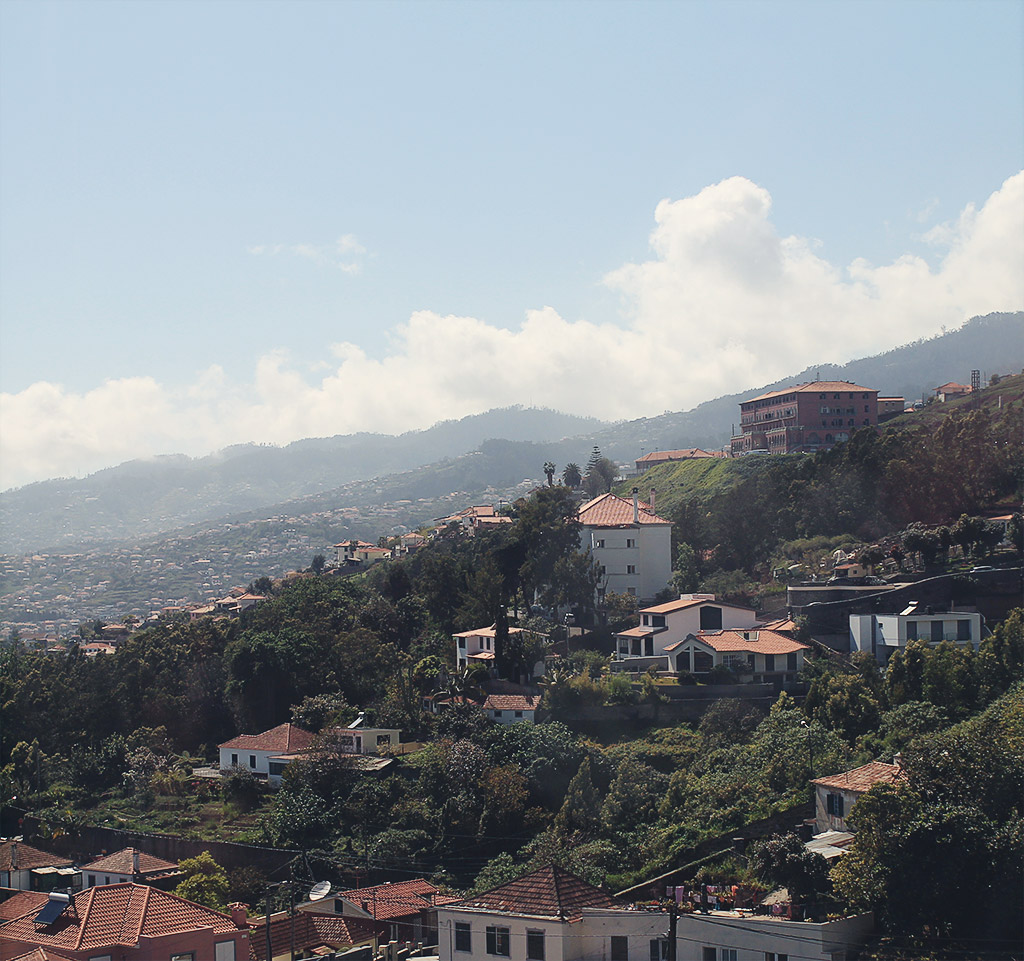 madeira-4-14