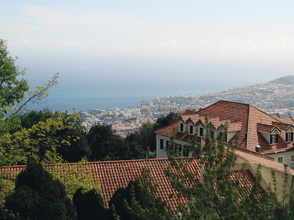 madeira-4-19