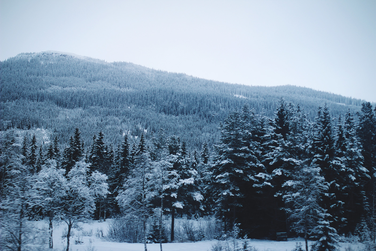 hemsedal-04-04