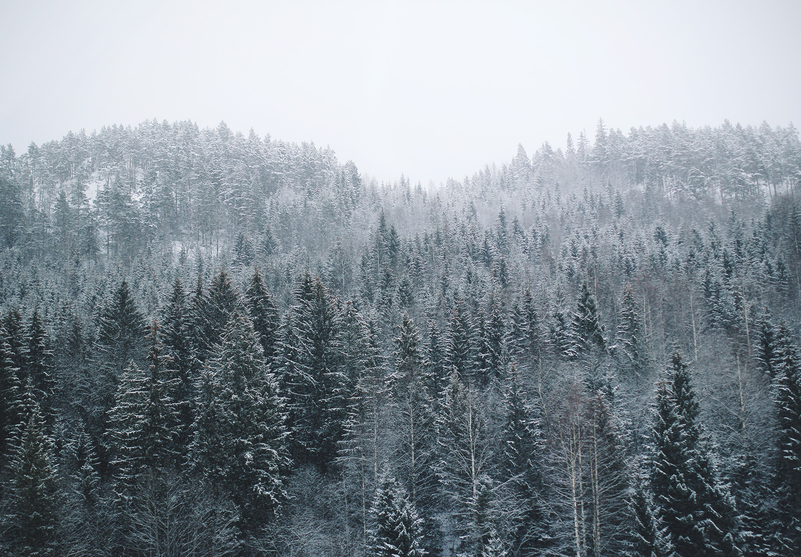 hemsedal-04-06
