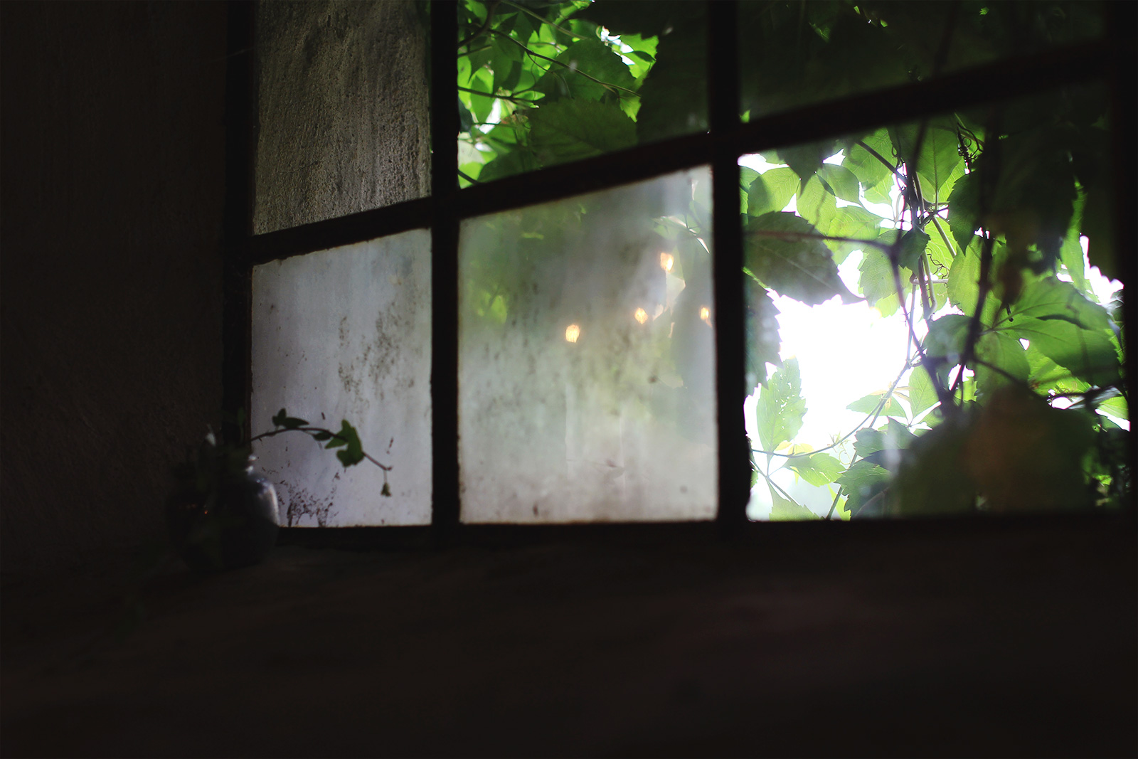 stromma-farmlodge-14