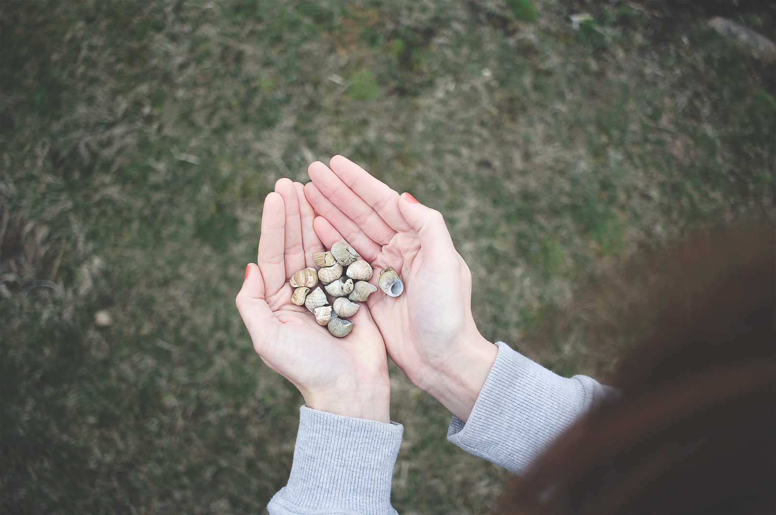varberg-och-havet-06