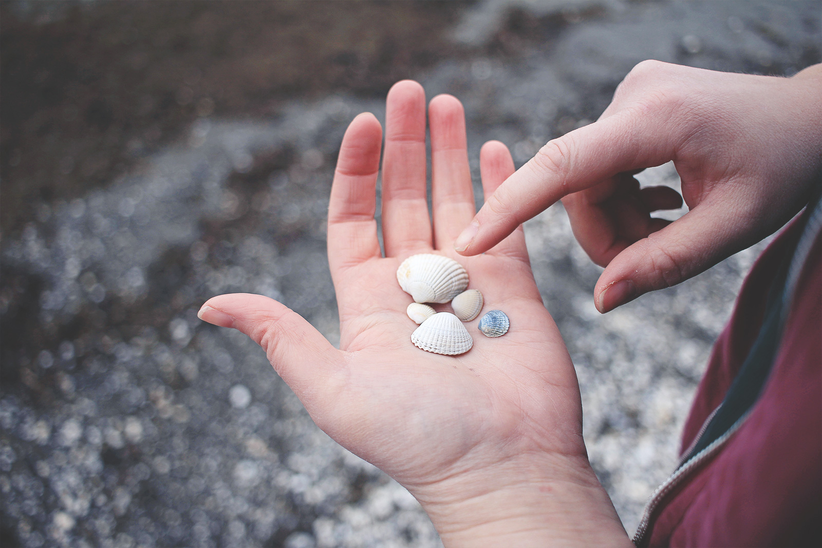 varberg-och-havet-18