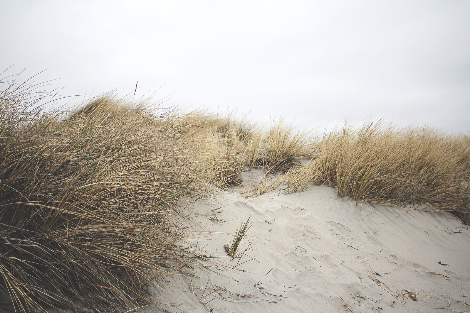 varberg-och-havet-21